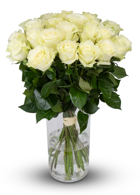 bouquet of Ecuadorian roses 80cm
